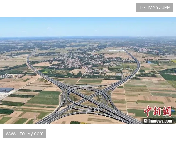 谢月朗：从草根球员到职业赛场的崛起之路与未来展望